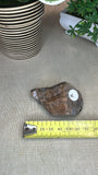 Bustamite