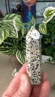 Dalmatian Jasper Points