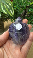 Amethyst turtle