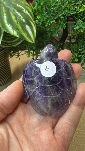 Amethyst turtle