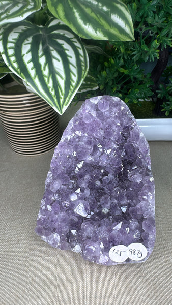 Amethyst Geode