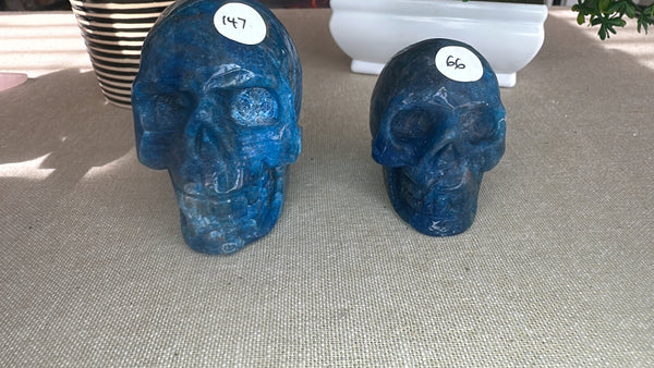 Blue apatite skulls