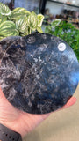 Firework Stone Disc