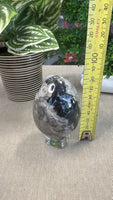 Volcanic Agate Egg
