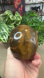 Tiger eye skull