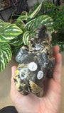 Picture Jasper Elephant