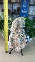 Apophyllite Cluster