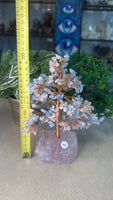 Rose Quartz and Aquamarine Money Tree