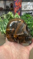 Tiger eye skull