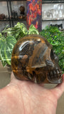 Tiger eye skull