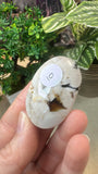 Peanut Wood Palm Stone