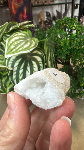 Agate geode