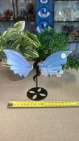Opalite Dragon Wings