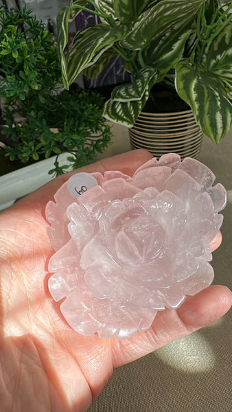 Rose Quartz Roses