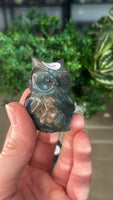 Labradorite Owls