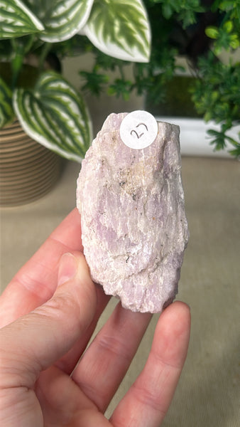 Raw Kunzite