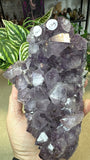 Amethyst Cluster