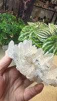 Clear Quartz Cluster