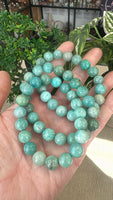 Amazonite Bracelets 10mm