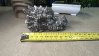 Picasso Jasper dragon head