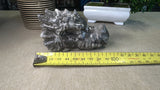 Picasso Jasper dragon head