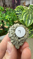 Pyrite clusters
