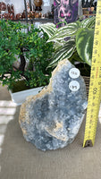 Blue Celestite Free form