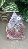 Ocean Jasper Slices
