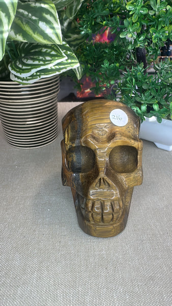 Tiger eye skull