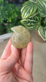 Prehnite Shell