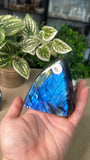 Labradorite Free Forms