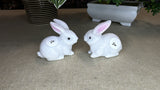 Quartz Rabbits
