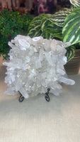 Clear Quartz Cluster