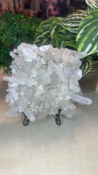 Clear Quartz Cluster