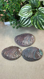 Natural Abalone Shells
