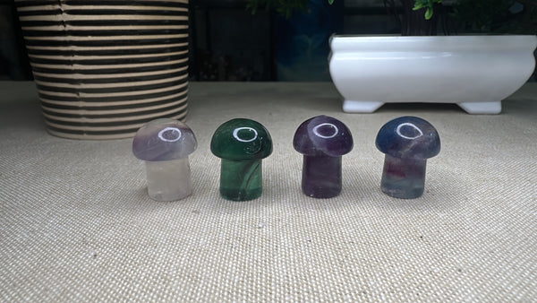 Fluorite Mushrooms