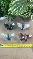 Butterfly Wings