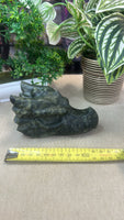 Green jade dragon head