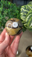 Septarian Spheres