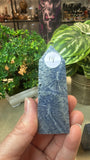 Blue Coral Fossil Points