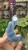 Blue Coral Fossil Points