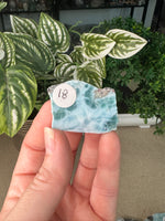 Larimar Slices