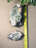 Green Apophyllite with peach Stilbite