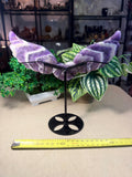 Chevron Amethyst Heart with wings