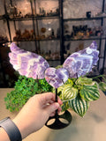 Chevron Amethyst Heart with wings