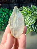 Quartz with Chlorite