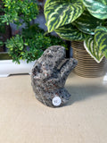 Yooperlite T-Rex Head
