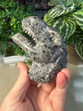 Yooperlite T-Rex Head