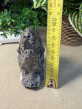 Yooperlite T-Rex Head