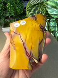 Mookaite Slice